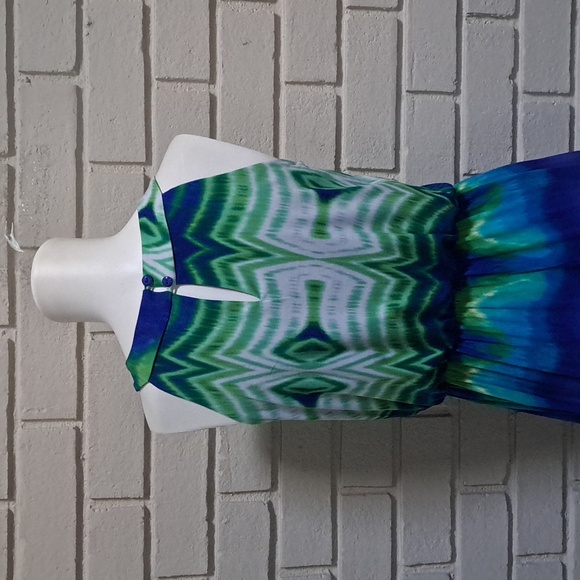 Donna Ricco Bold Colored Sleeveless Pleated Front Maxi Dress. Size 4 - Picture 7 of 11